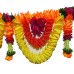 afarza Toran For Door Way Entrance Hanging Home HandMade Decoration  JHR-2